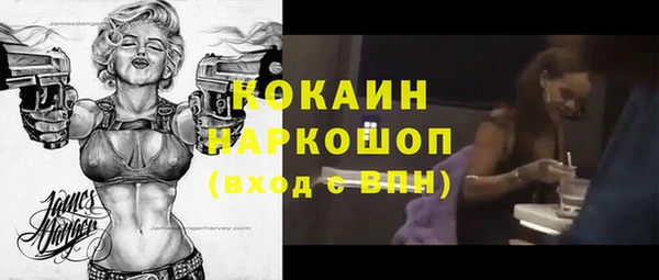 индика Чердынь