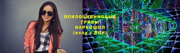 индика Чердынь