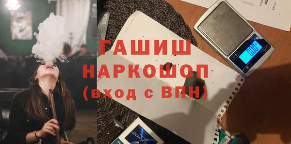 индика Чердынь