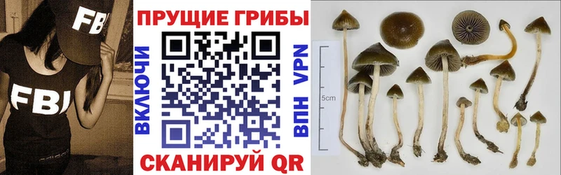 цена   Мончегорск  ОМГ ОМГ зеркало  Псилоцибиновые грибы Magic Shrooms 