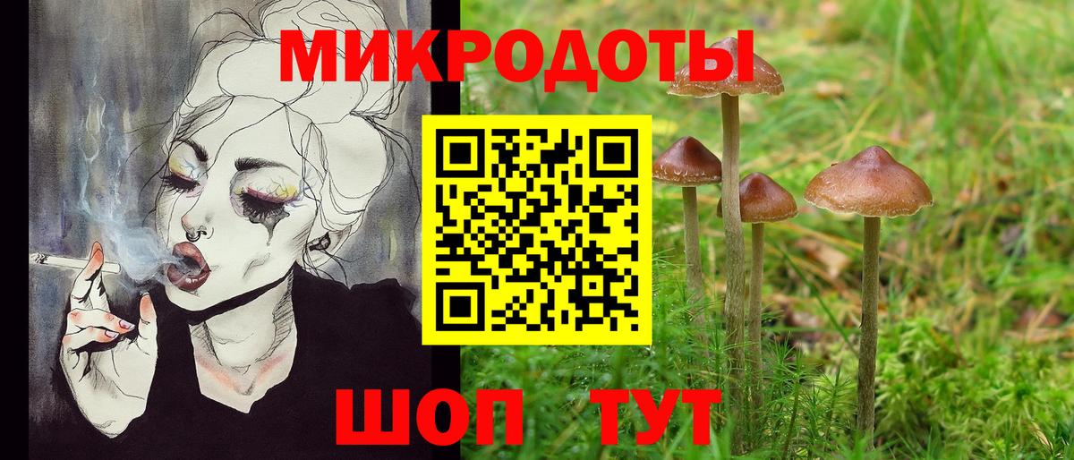 Псилоцибиновые грибы Psilocybine cubensis Мончегорск