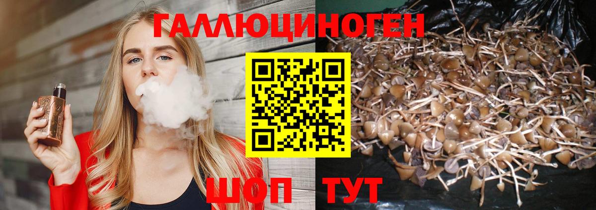 Псилоцибиновые грибы ЛСД  Вход с VPN  Мончегорск  Псилоцибиновые грибы ЛСД 