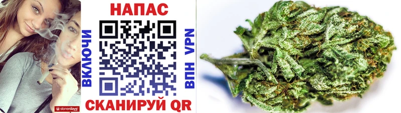 Каннабис OG Kush  Мончегорск 