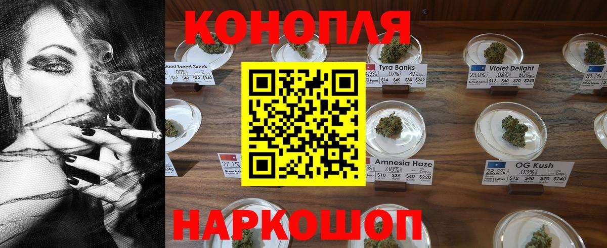 Шишки марихуана марихуана  Вход с VPN  Бошки Шишки сатива  Мончегорск  Бошки марихуана ГИДРОПОН 